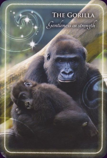 Hovedbilde Animal Whispers Empowerment ...