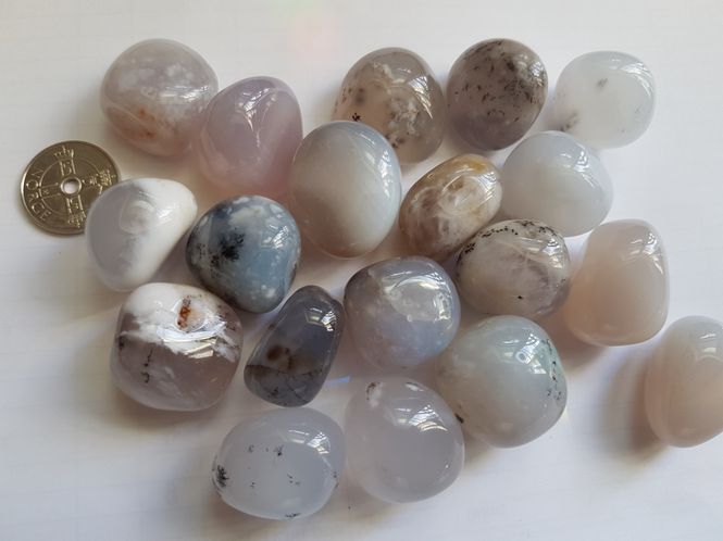Hovedbilde opal - dendrittisk
