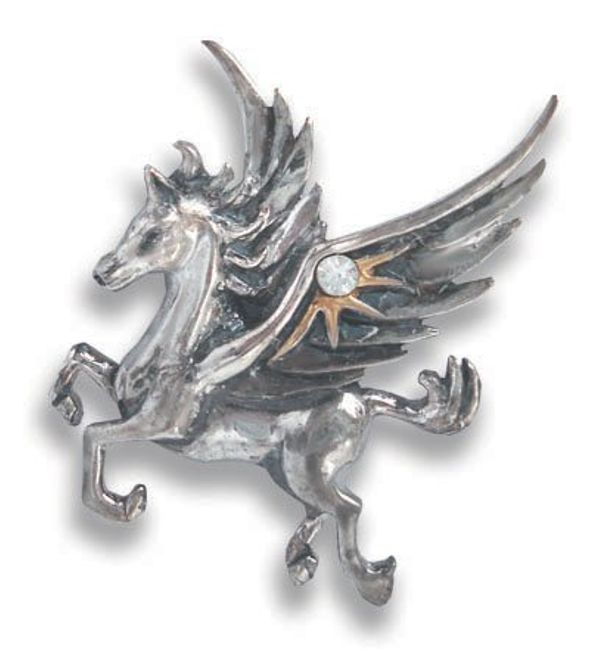Hovedbilde Pegasus of the Stars for ...