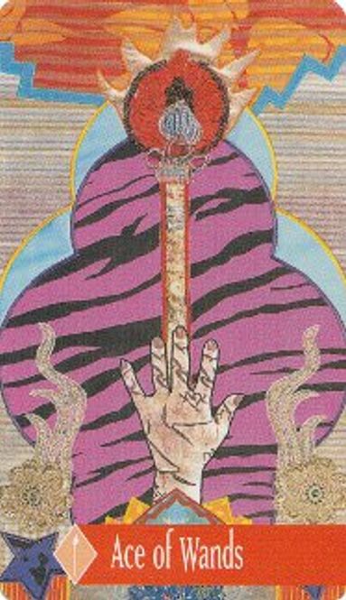 Hovedbilde The Zerner Farber tarot deck ...
