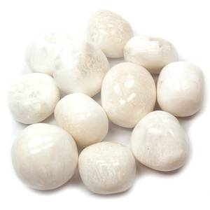 Hovedbilde skolesitt - scolecite