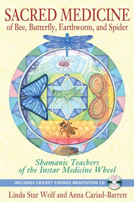 Hovedbilde Sacred Medicine of Bee, ...