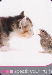 Hovedbilde Cat Wisdom Cards - Toni ...
