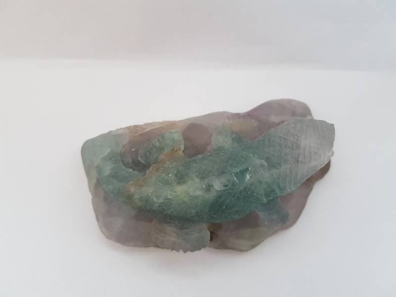 Fluoritt Firfisle - Fluorite Lizard