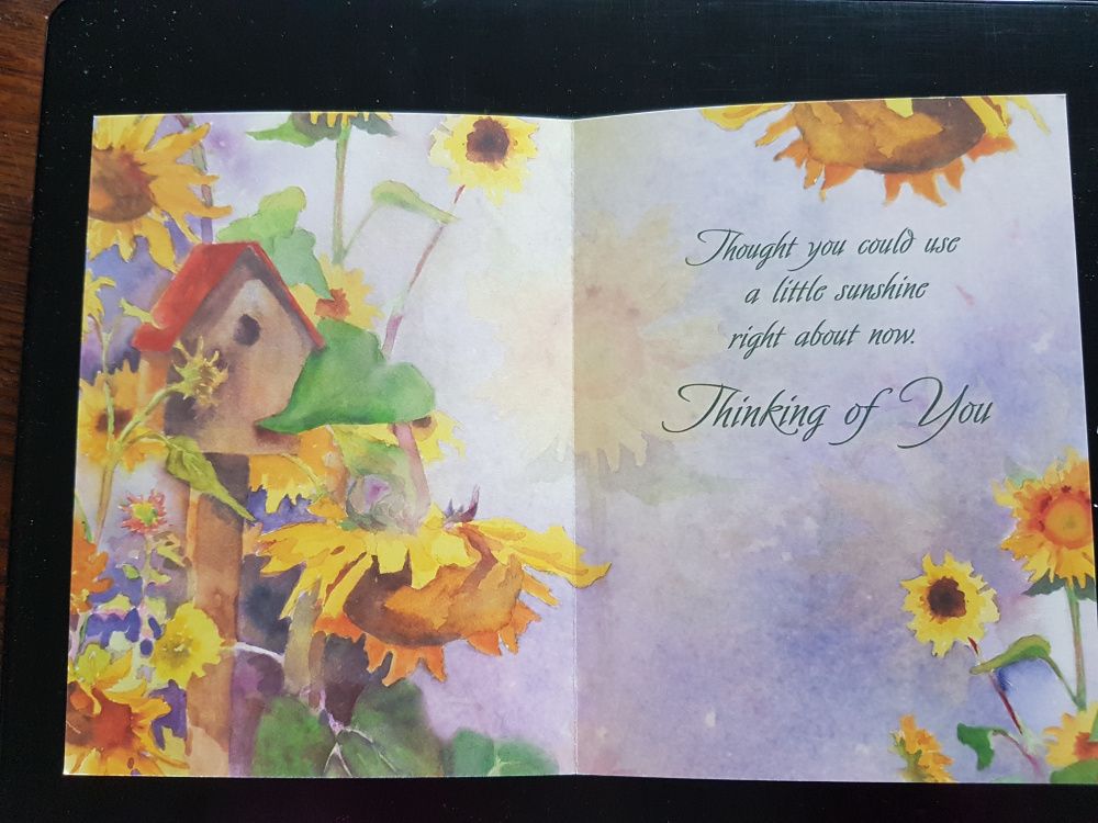 Postkort- Thinking of You - Tree Free All Occasions Greeting Card