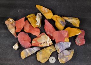 Hovedbilde mokaitt r&aring; biter 